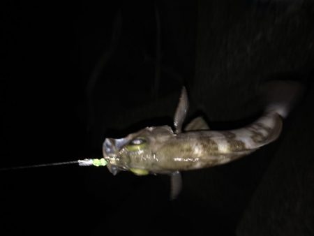 仕事帰りにメバリング