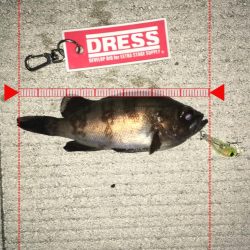 アミパターン！