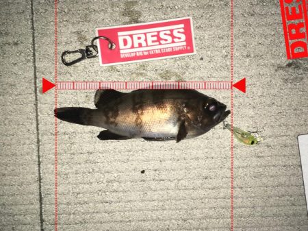 アミパターン！