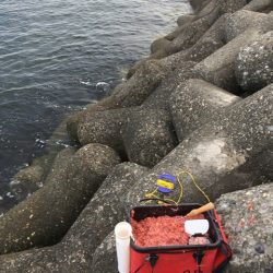 テトラでウキ釣り