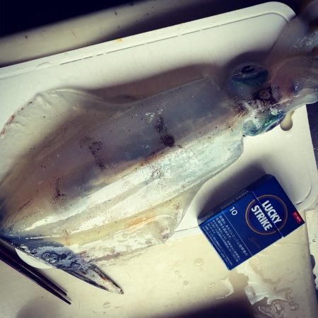 朝から2時間の釣行