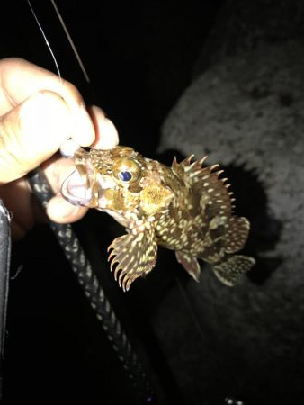 日課のナイトゲーム