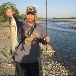 吉野川のルアー釣り！