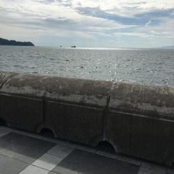 風が強かった…