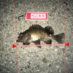 むずかしかったです