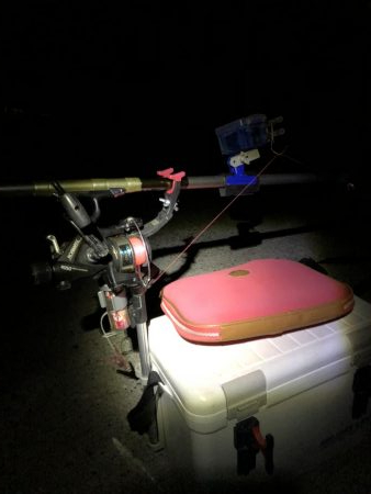 ゴールデンスクウィット