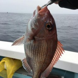 根魚釣り！