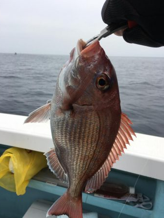 根魚釣り！