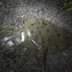 根掛かり→ゴミからの、、、