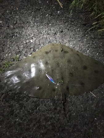 根掛かり→ゴミからの、、、