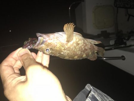 大荒れ後の名港ボートフィッシング!