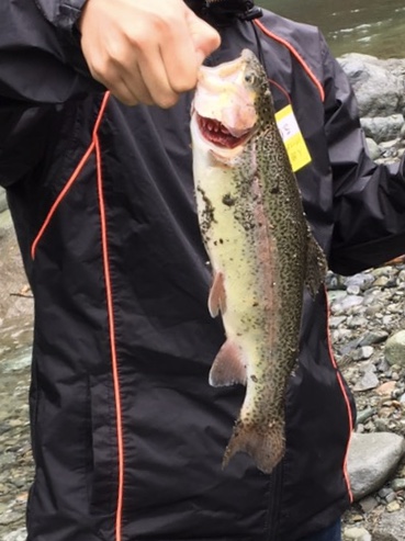 リヴァスポット早戸