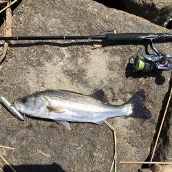 パターンを掴むと