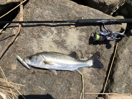 パターンを掴むと