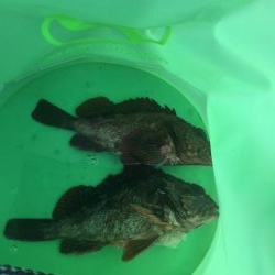 寝坊からのガシリング