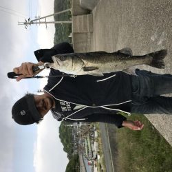 デイゲームにて