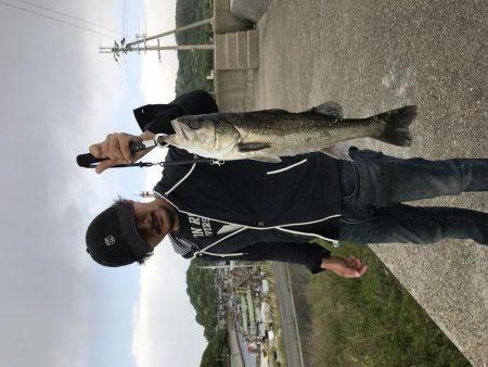 デイゲームにて