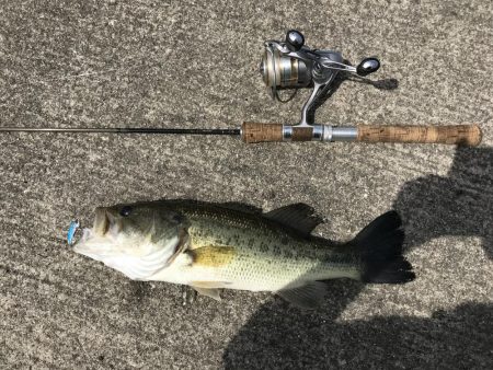 乙女川〜黒瀬ダム