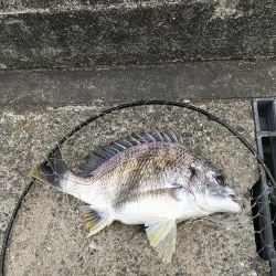 家族で投げ釣り