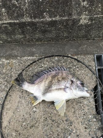 家族で投げ釣り