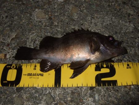 予想外のアミパターン