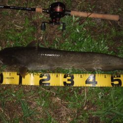 新規開拓で爆釣