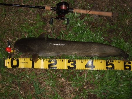 新規開拓で爆釣