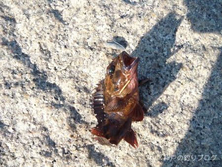 岩屋で穴釣り
