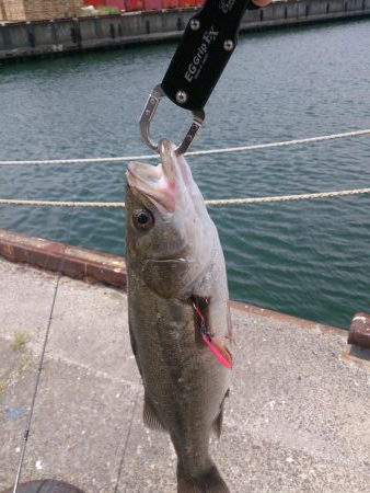 しばらくぶりだよ停泊船ゲーム