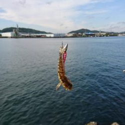 ライトワインドゲーム