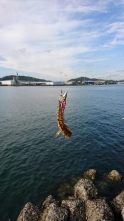 ライトワインドゲーム