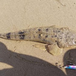 とりあえずヒット！