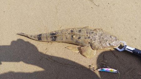 とりあえずヒット！