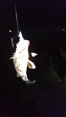 サイズアップ？