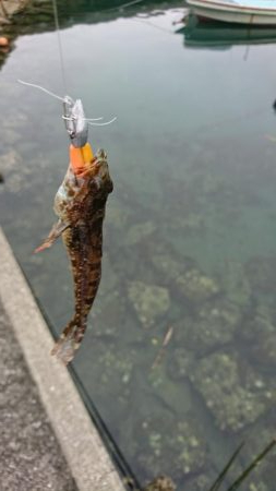 ライトワインド