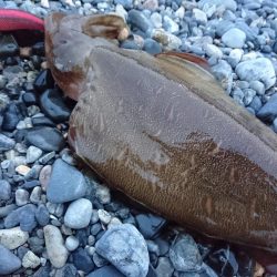 安定のカミナリ