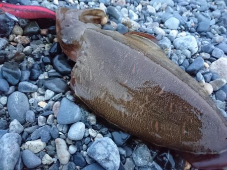 安定のカミナリ