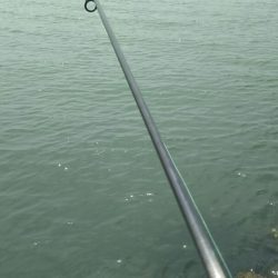 【芦屋~遠賀川河口】キス調査2