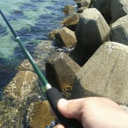 【芦屋漁港】 キス年始め調査 (サーフ＆テトラ）