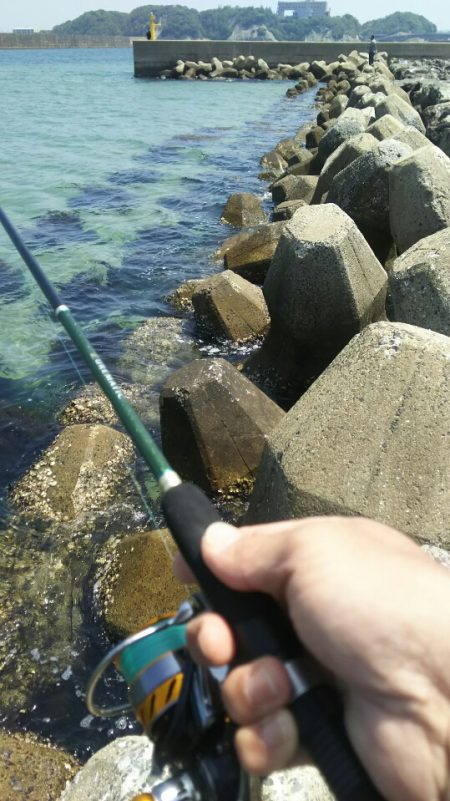 【芦屋漁港】 キス年始め調査 (サーフ＆テトラ）