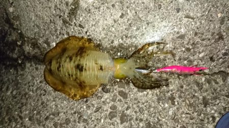 出張の移動の合間に漁港巡礼