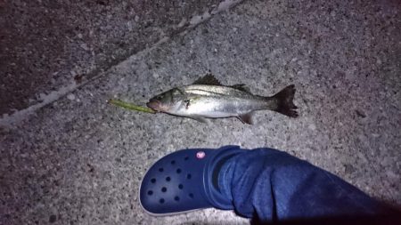 スランプ脱出！？