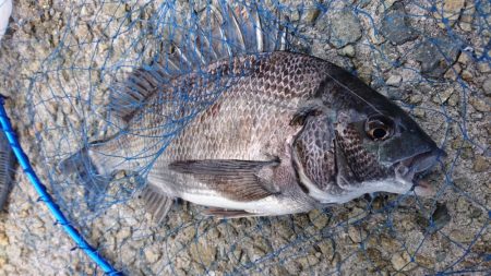 ゴールデンウィーク釣行2日目