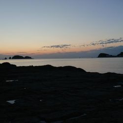 チヌ狙いだけど…