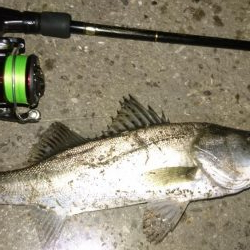 なんかイマイチ