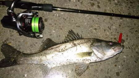 なんかイマイチ