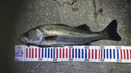 スローに誘って