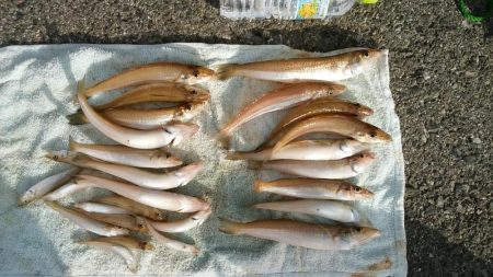 今年初キスがデカい！