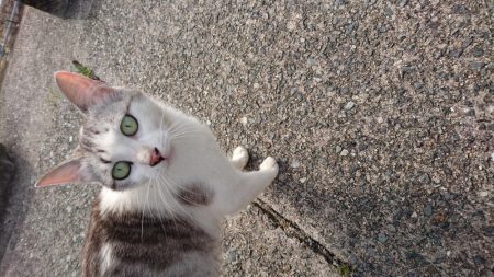 青物＆タチウオ・・・どこ？