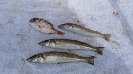 雨の志筑でキス狙い
